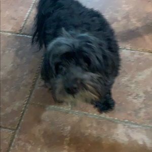 Meet your Posher, Patrick